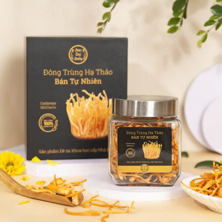 Hộp carton lạnh đông trùng hạ thảo