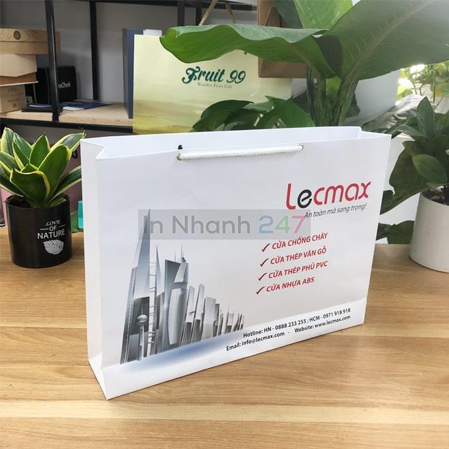 Túi giấy Lecmax Túi giấy Lecmax