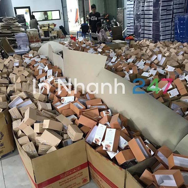 Xưởng in hộp giấy 247