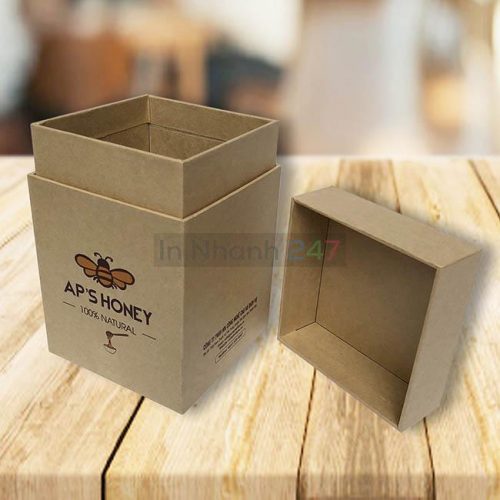 Hộp carton lạnh nắp gài